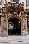 ant_3730.jpg