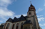 ant_3740.jpg