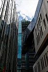 ant_3769.jpg