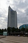ant_3795.jpg