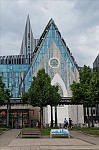 ant_3800.jpg