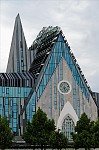 ant_3814.jpg