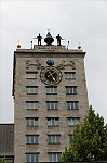 ant_3823.jpg