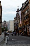 ant_3957.jpg