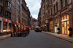 ant_3965.jpg