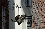ant_4901.jpg