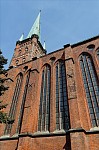 ant_4903.jpg