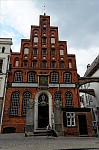 ant_5026.jpg