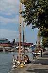 ant_5041.jpg