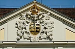 ant_9267.jpg