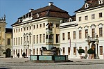 ant_9270.jpg