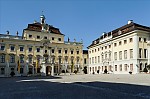 ant_9276.jpg