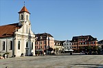 ant_9329.jpg