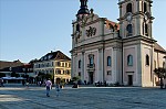 ant_9341.jpg