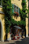 ant_3419.jpg