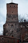 ant_0724.jpg