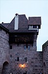 ant_0750.jpg