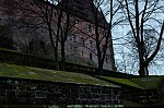 ant_0755.jpg