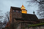 ant_0770.jpg