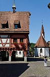 ant_9091.jpg