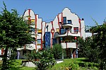 ant_9107.jpg