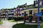 ant_9108.jpg