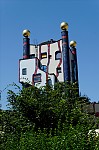 ant_9141.jpg