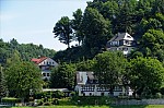 ant_4909.jpg