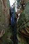 ant_4941.jpg