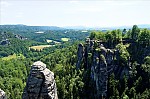 ant_5017.jpg