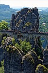 ant_5030.jpg