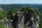 ant_5041.jpg