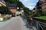 ant_5082.jpg