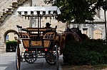 ant_0668.jpg