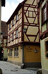 ant_0674.jpg