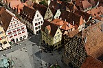 ant_0904.jpg