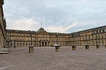 ant_5943.jpg