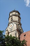 ant_8845.jpg
