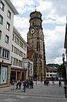 ant_8869.jpg