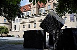 ant_9370.jpg