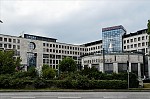 ant_9413.jpg