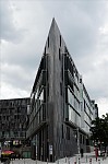 ant_9415.jpg