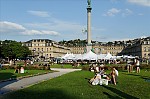 ant_9466.jpg