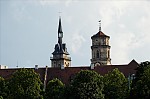 ant_9480.jpg