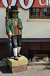 ant_2709.jpg