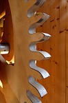ant_2757.jpg