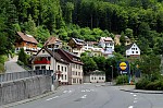 ant_2783.jpg