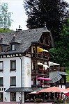 ant_2804.jpg