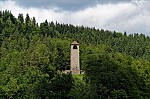ant_2811.jpg