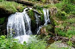 ant_2840.jpg